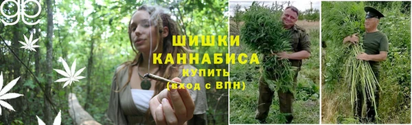 соль курить ск Арсеньев
