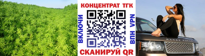 ссылка на мегу ссылка  где можно купить наркотик  Сретенск  ТГК Wax 