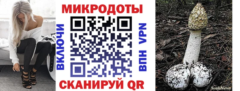 Галлюциногенные грибы Psilocybe  Сретенск 