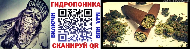 дарнет шоп Сретенск Бошки Шишки OG Kush